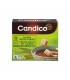 Candico BIO sucre canne morceaux 1kg - Délices du nord les produits de Belgique et du nord de la France