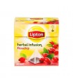 Lipton Herbal infusion Églantier - rosehip 20 pc - Délices du nord les produits de Belgique et du nord de la France